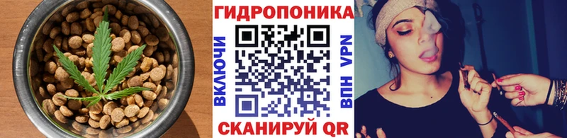 Cannafood марихуана  купить наркотик  Петропавловск-Камчатский 
