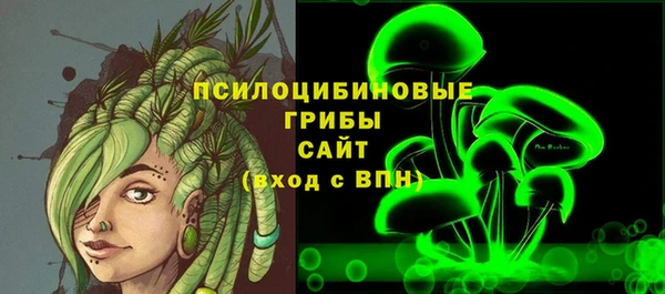 герыч Бронницы