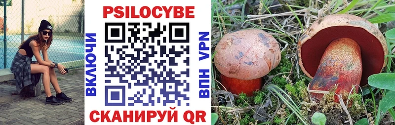 Галлюциногенные грибы Cubensis наркотики mega tor Петропавловск-Камчатский